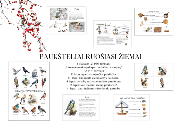 Užduočių rinkinys „PAUKŠTELIAI RUOŠIASI ŽIEMAI”