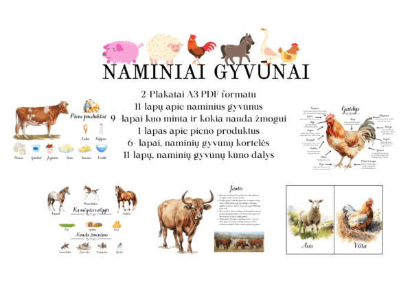 Užduočių rinkinys „NAMINIAI GYVŪNAI“