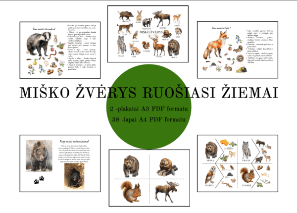 Užduočių rinkinys „MIŠKO ŽVĖRYS RUOŠIASI ŽIEMAI”