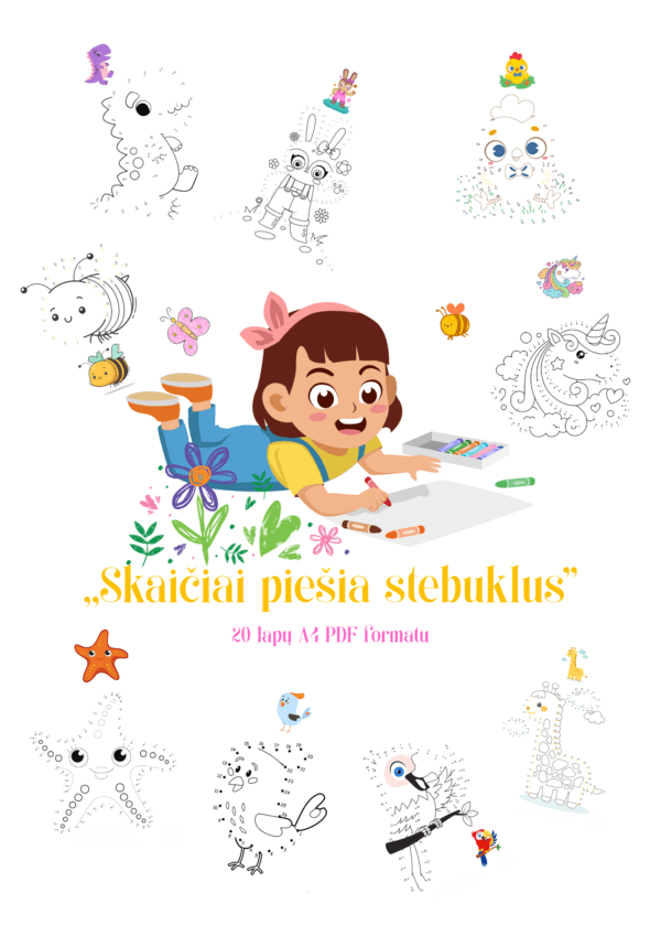 Dovana  „Skaičiai piešia stebuklus”