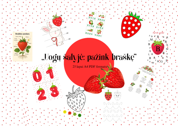Užduočių rinkinys  „Uogų šalyje: pažink braškę”