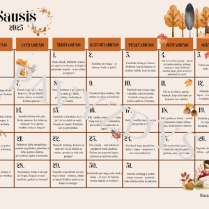 „Rudens nuotykių kalendorius vaikams”