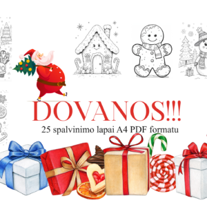 „Kalėdų paslaptis”