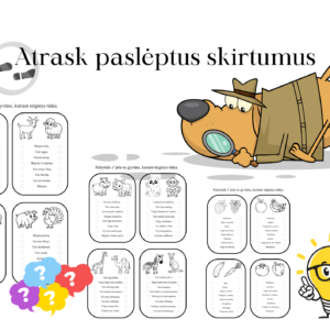 „Atrask paslėptus skirtumus“