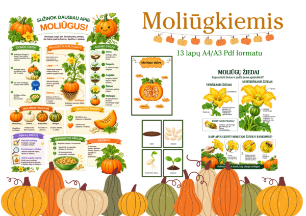 „Moliūgkiemis“